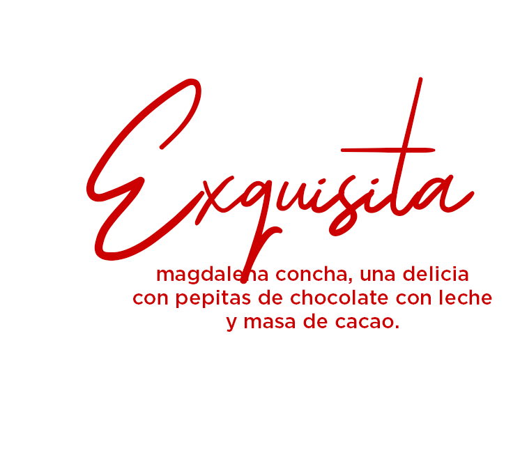 Exquisita magdalena concha, una delicia con pepitas de chocolate con leche y masa de cacao.