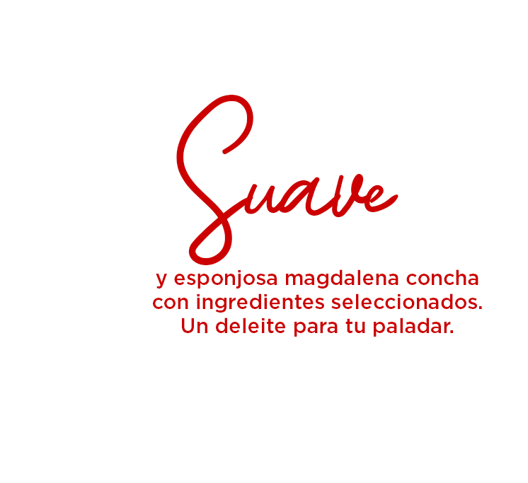 Suave y esponjosa magdalena concha con ingredientes seleccionados. Un deleite para tu paladar.